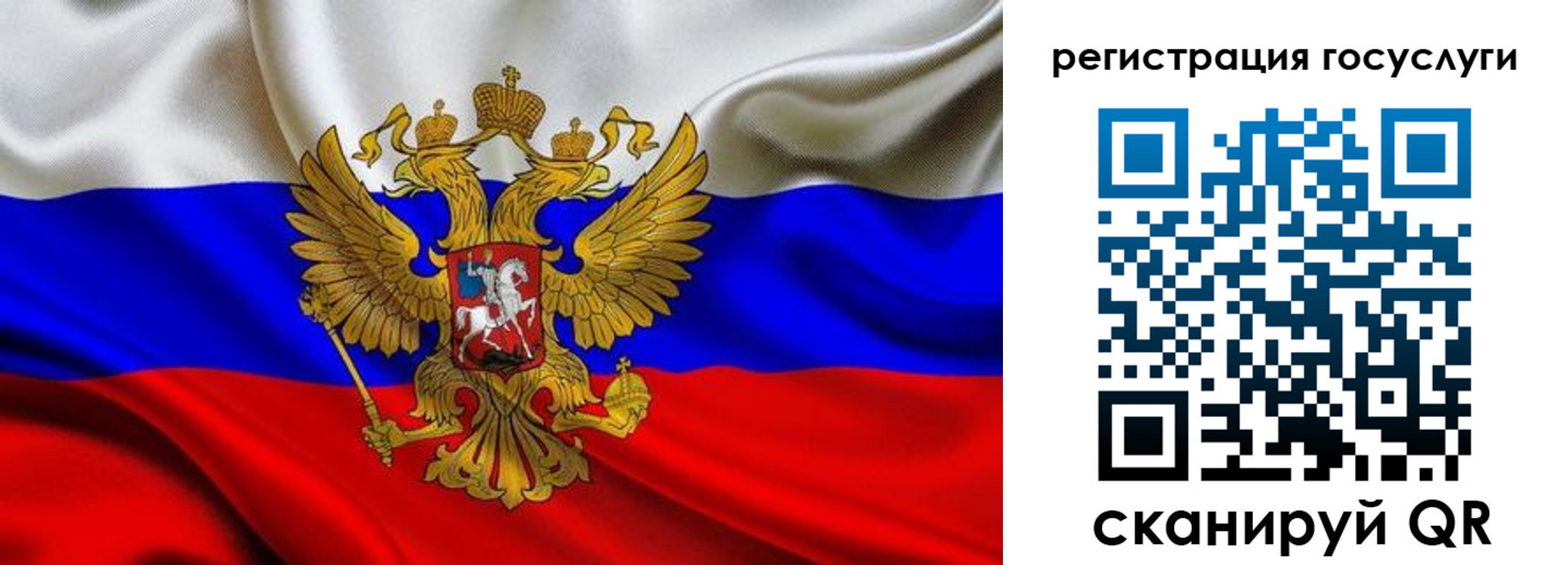 прописка гарантия в Гвардейске